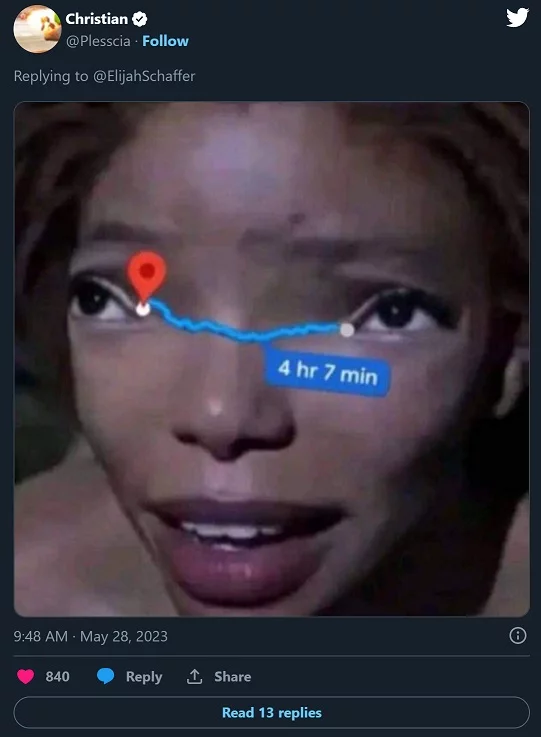 Halle Bailey Little Mermaid Meme Eyes Far Apart
