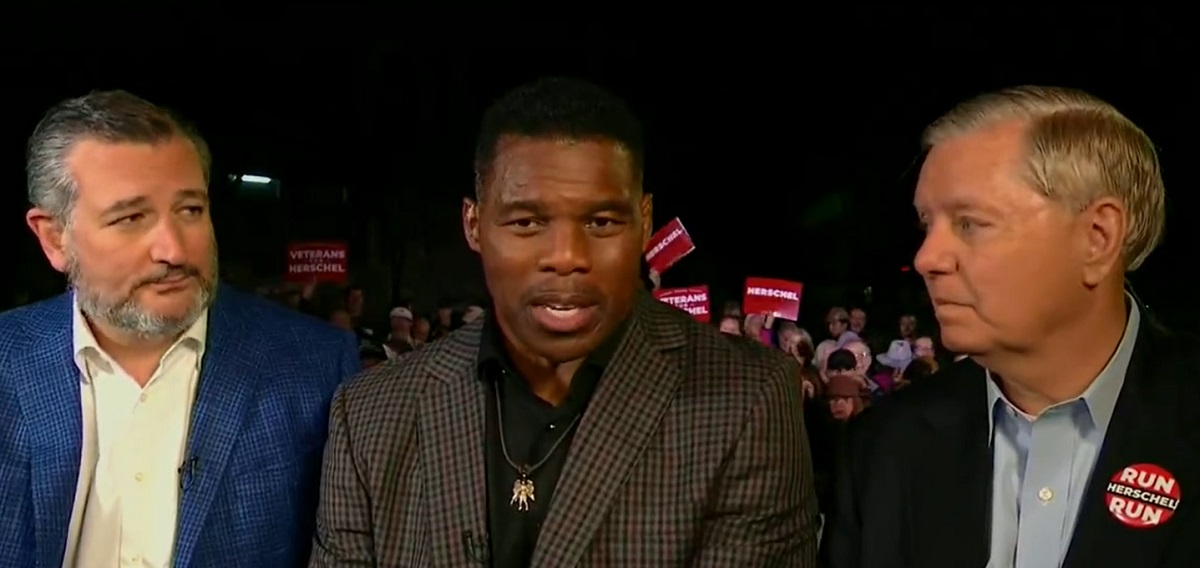 Ted Cruz's Reaction to Herschel Walker's 'Erection' Gaffe on Live News Goes Viral