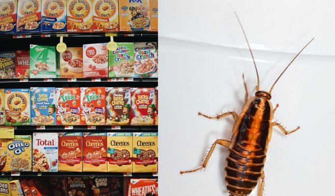 Here's Why People Believe This Cereal is the Worst Type to Eat if You Have Roaches