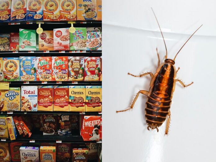 honey-smacks-attracting-roaches