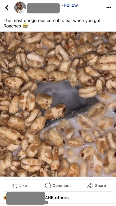 honey smacks cereal attracting roaches