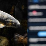 Trout Video Woman from Viral $ex Tape Identified as Ex-Veterinary Clinic Employee