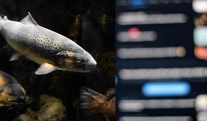 Trout Video Woman from Viral Tape Identified as Ex-Veterinary Clinic Employee