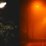 Where is the Ivy Growing on Street Lamp that Looks Like Monster from Zdzislaw Beksinski Painting Located?