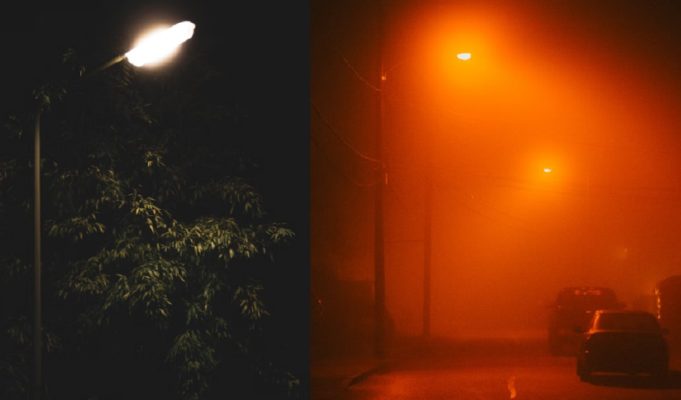 Where is the Ivy Growing on Street Lamp that Looks Like Monster from Zdzislaw Beksinski Painting Located?