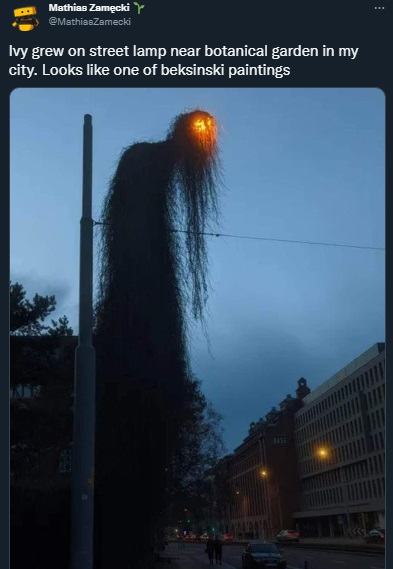 The location of the Ivy Growing on Street Lamp that Looks Like Monster from Zdzislaw Beksinski Painting in Breslavia Poland