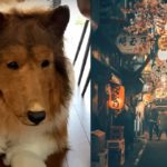 Japanese Man Who Paid $16,000 To Become a Dog Goes Viral