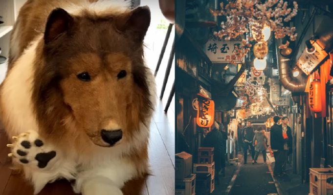 Japanese Man Who Paid $16,000 To Become a Dog Goes Viral