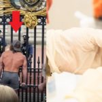 Do Leaked Emails Expose Liver King Using HGH Steroids Three Times Day Via Injection? Evidence Inside