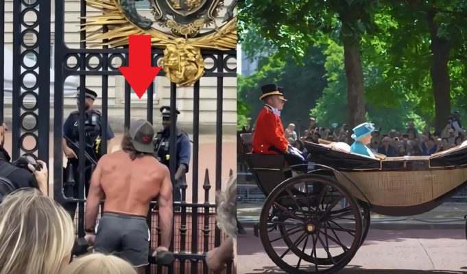 Was Adrenochrome Conspiracy Why Liver King Was at Queen Elizabeth II's Buckingham Palace Doing Bicep Curls?