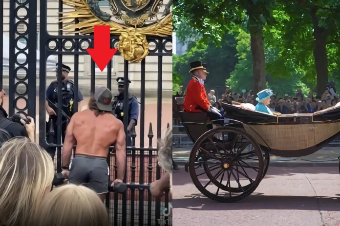 liver-king-queen-elizabeth-buckingham-palace-adrenochrome