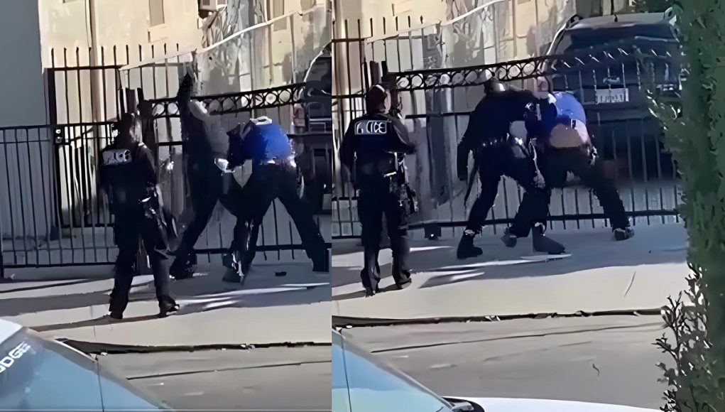 los-angeles-cop-attacking-handcuffed-man-on-fence-1