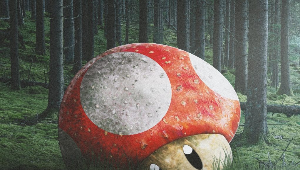 magical-mushrooms-key-to-eternal-life-conspiracy-theory