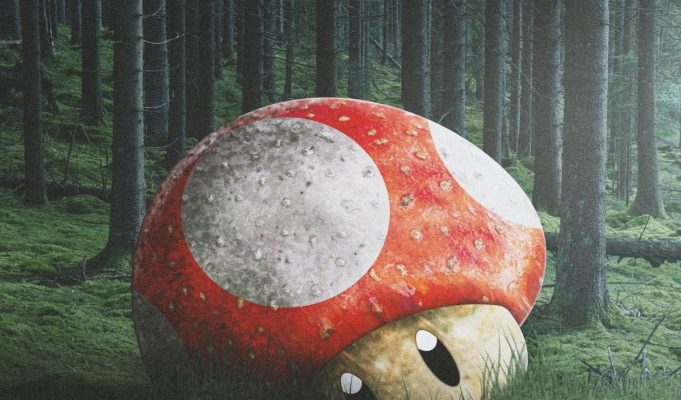 magical-mushrooms-key-to-eternal-life-conspiracy-theory