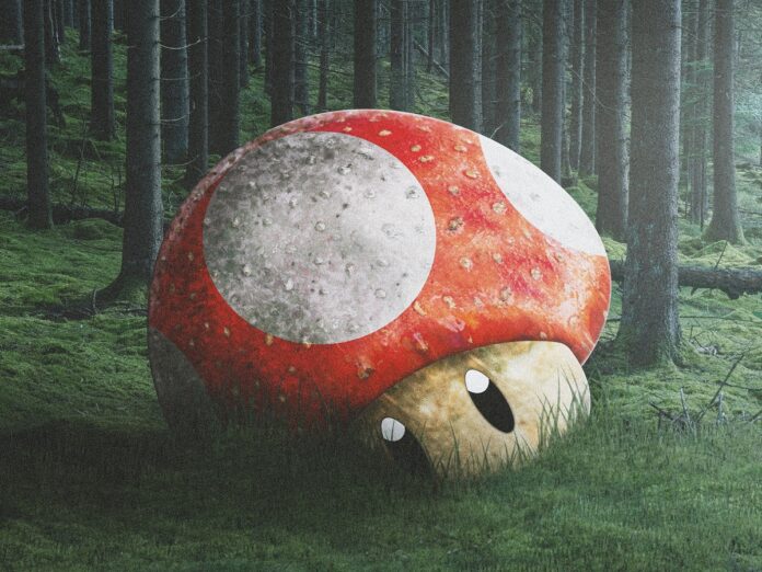 magical-mushrooms-key-to-eternal-life-conspiracy-theory