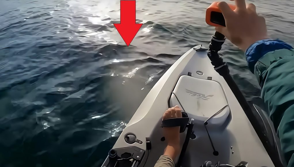 man-survives-great-white-shark-circling-kayak-4