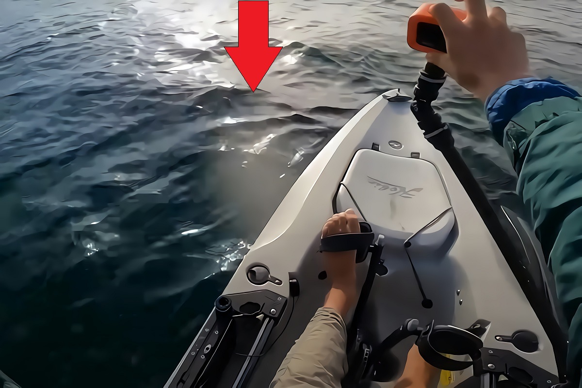 Video Shows Scary Moment a Great White Shark Circles Kayak of Fisherman Alone in Water
