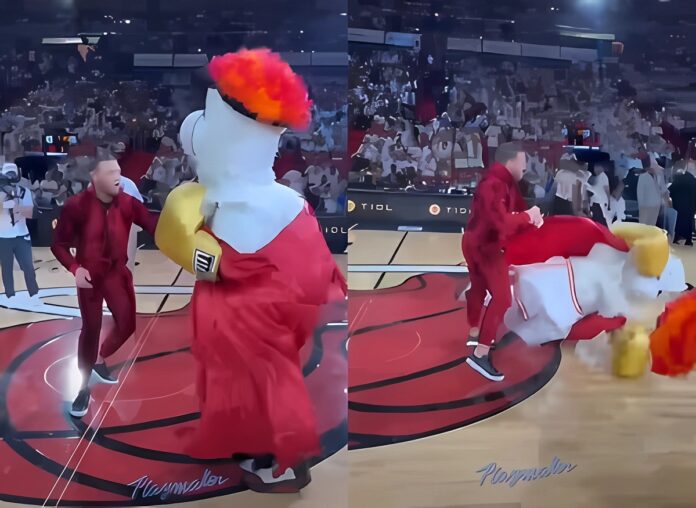 mcgregor-knocked-out-heat-mascot-1