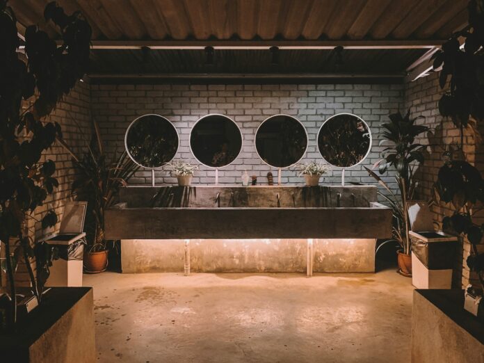 mirror plants furniture