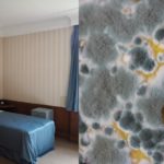 Students Expose Alleged Mold Growing in Dorms at Bethune-Cookman University in Viral Photos