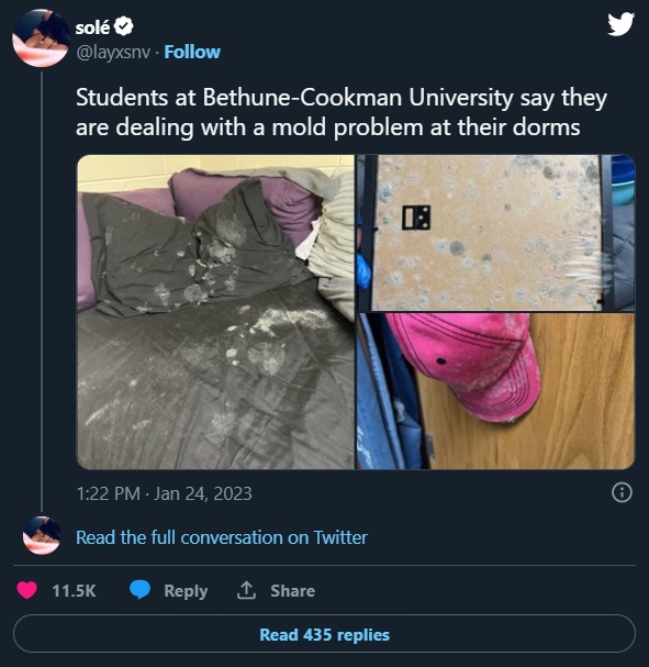 Evidence of mold growing in dorms at Bethune-Cookman University.