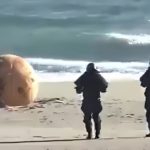 Conspiracy Theory Trends After Rusted Metal Sphere Causes Japan to Shut Down Beach in Shizuoka