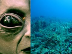 Did Aliens Make Holes at Bottom of Atlantic Ocean? NOAA Facebook Post about Line...