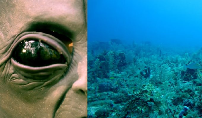 Did Aliens Make Holes at Bottom of Atlantic Ocean? NOAA Facebook Post about Line of Holes on Ocean Floor Sparks Conspiracy Theories