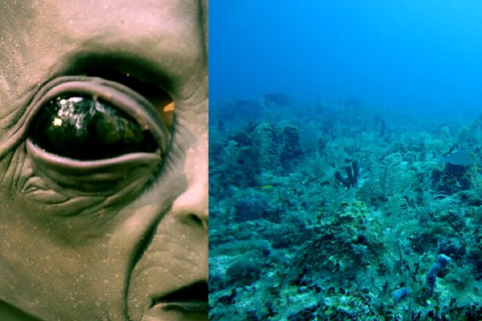 noaa-alien-holes-in-atlantic-ocean-1