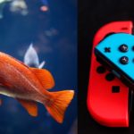 AI Connected Pet Fish Steals YouTuber's Credit Card To Play Nintendo Switch then Runs Up Massive Bill in Viral Video