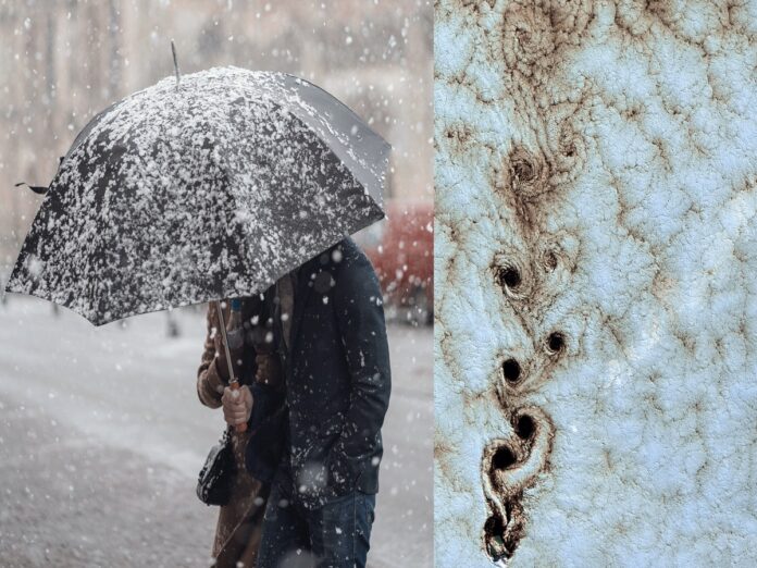 polar-vortex-forecast-texas-2024