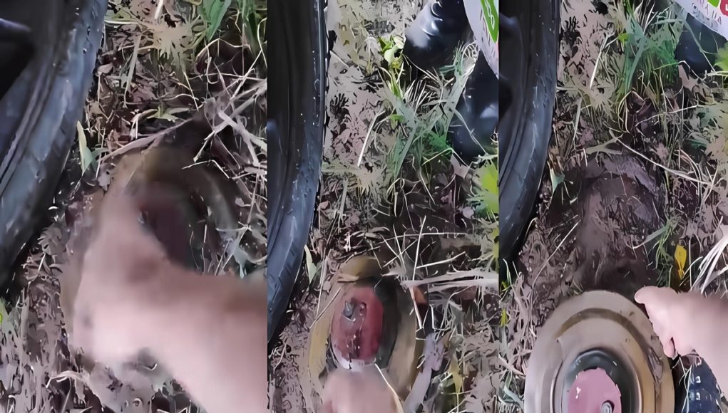 polish-volunteer-removing-anti-tank-mine