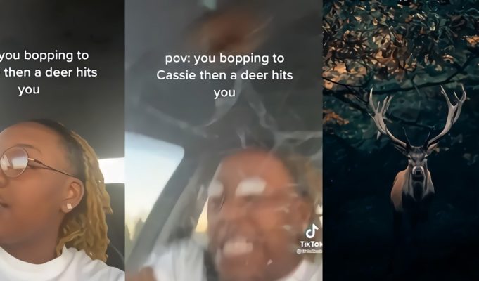 POV Car Accident Video Shows Woman Hitting Deer While Listening to Cassie Music