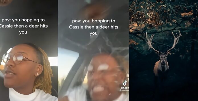 pov-car-accident-deer-cassie-music-tiktok
