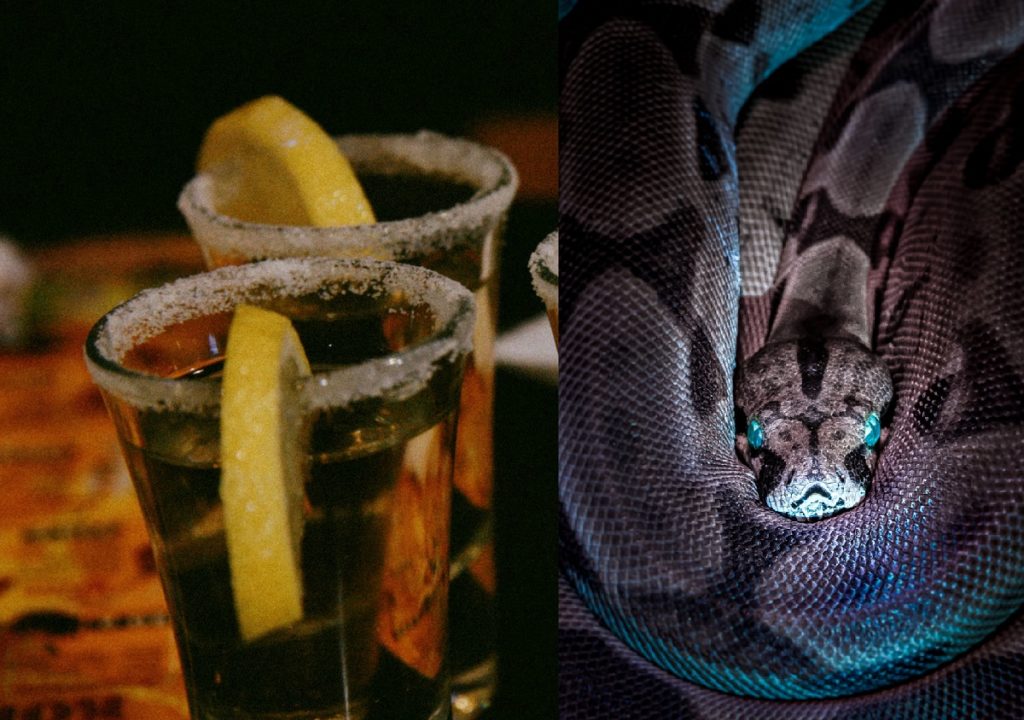 Conspiracy Theory Behind the Power of Snake Tequila Trends After Video of Woman Serving it at Restaurant in Mexico
