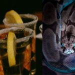 Conspiracy Theory Behind Power of Snake Tequila Shots Trends After Video of Woman Serving it at Restaurant in Mexico