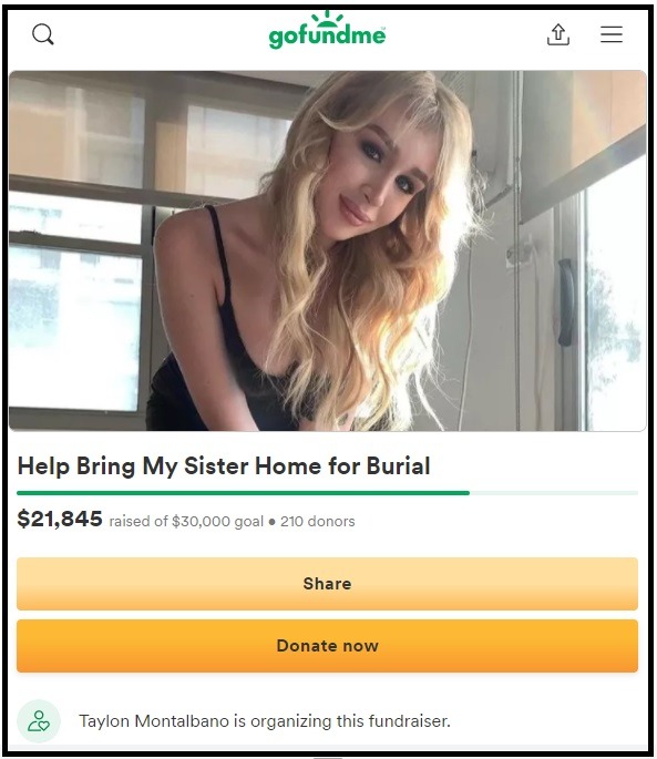 Picture detailing how to donate to Angelina Please GoFundMe fundraiser.