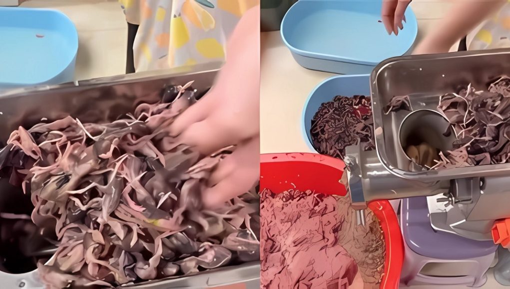 rat-meat-video-chinese-food