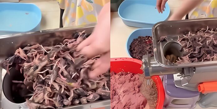 rat-meat-video-chinese-food