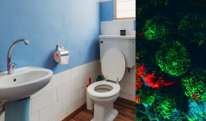 Alien Growth Found in Toilet by Reddit User is Going Viral and Terrifying Scientists Worldwide