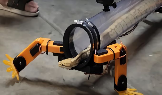 Video: Real Snake With Robot Legs Goes Viral