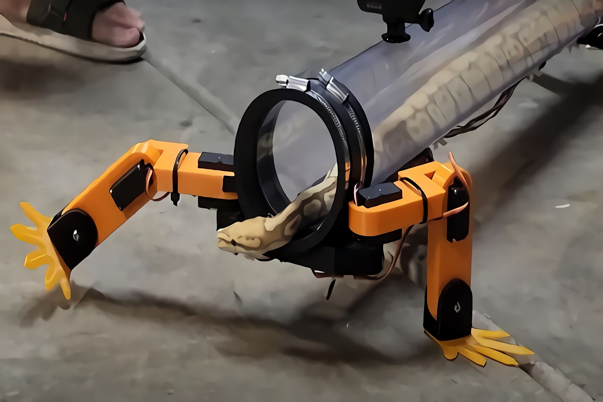 Video: Real Snake With Robot Legs Goes Viral