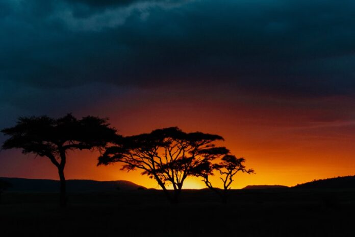 scar-lion-king-in-hercules-2
