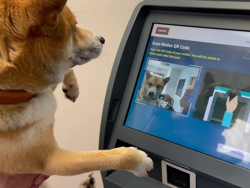 Are Crypto ATMs Illegal? Here is Why the UK is Banning Bitcoin Crypto ATMs. Dog at bitcoin ATM machine.