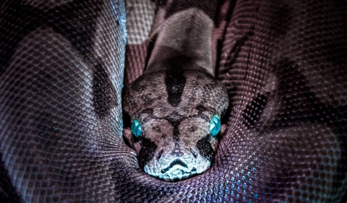 snake-indian-village
