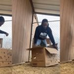 Video Showing TikToker Countrytee Unboxing a Peacock Sparks Outrage and Laughter
