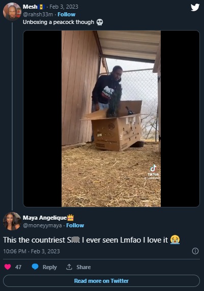TikToker Countrytee Unboxing a Peacock Reaction