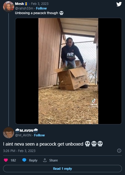 TikToker Countrytee Unboxing a Peacock Reaction