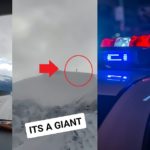 Did FBI CIA Agents Murder the TikToker Who Went Missing After Recording Giant on Jasper Mountain?