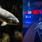 Did the Fish Trout Video Woman Commit Suicide After Getting Arrested and Charged?